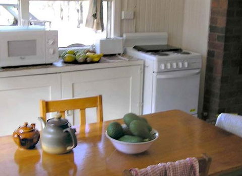 Myall Park Botanic Garden - Maitland Accommodation 3