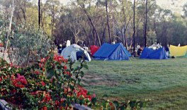 Possum Park - Maitland Accommodation 1