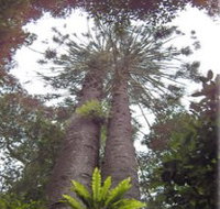 Moorlands Country Retreat - Maitland Accommodation