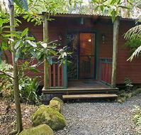 Springbrook Lyrebird Retreat - Maitland Accommodation