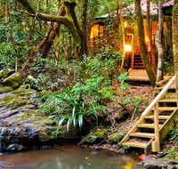 The Mouses House - Rainforest Retreat - Maitland Accommodation