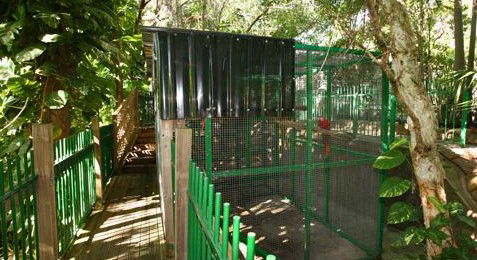 Ashmore Palms Holiday Village - Maitland Accommodation 3