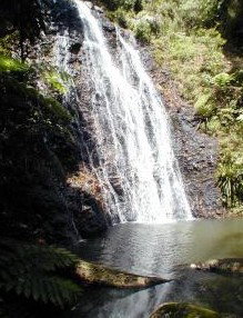 Beechmont QLD Maitland Accommodation