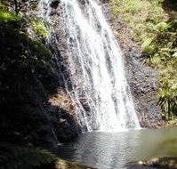 Binna Burra Mountain Lodge - Maitland Accommodation
