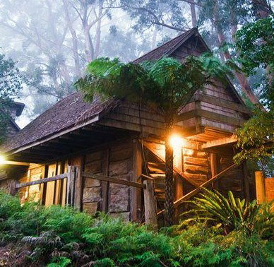 Binna Burra Mountain Lodge - Maitland Accommodation 2