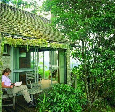 Binna Burra Mountain Lodge - Maitland Accommodation 3