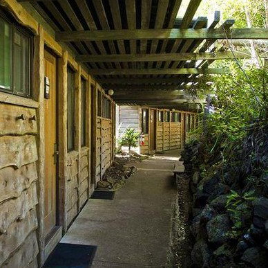 Binna Burra Mountain Lodge - Maitland Accommodation 4