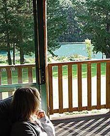 Hawke Brook Chalets - Maitland Accommodation 0