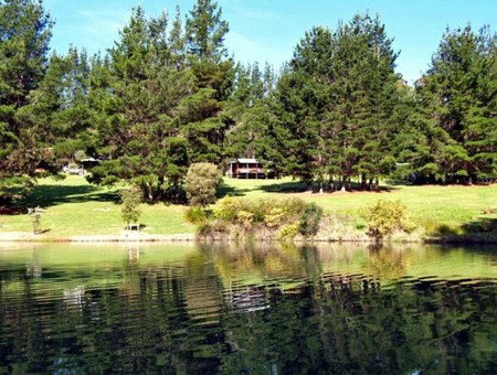 Hawke Brook Chalets - Maitland Accommodation 2