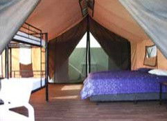 Chile Creek Community Stay - Maitland Accommodation 1