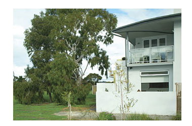 Clifton Hill VIC Maitland Accommodation
