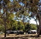 Barracrab Caravan Park - Maitland Accommodation