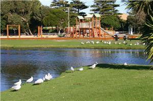 Fig Tree Holiday Village - Maitland Accommodation 3