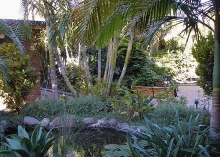 SMART MOTELS BERT HINKLER - Maitland Accommodation 3