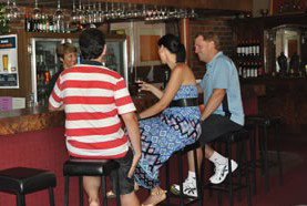 Castle Motor Lodge - Maitland Accommodation 0