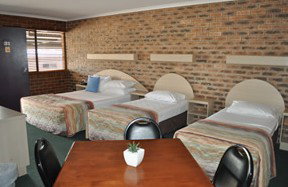 Castle Motor Lodge - Maitland Accommodation 3
