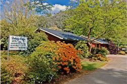 Delany Lodge - Maitland Accommodation 1