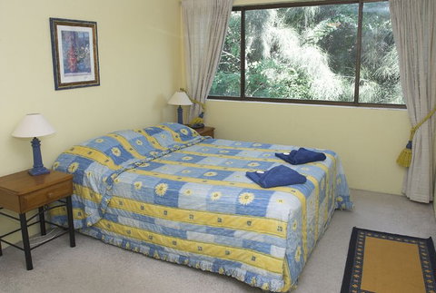 Alexandria Apartments - Maitland Accommodation 3