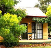 Mountain View Motor Inn and Holiday Lodges - Maitland Accommodation
