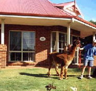 Brilea Cottages - Maitland Accommodation