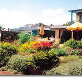 Best Western Applegum Inn Motel - Toowoomba - Maitland Accommodation