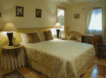 Fern Cottage Bed And Breakfast - Maitland Accommodation
