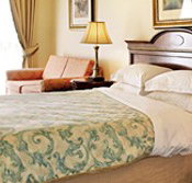 Canterbury International Hotel - Maitland Accommodation