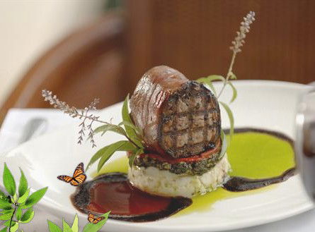 Absolute Beachfront Novotel Pacific Bay - Maitland Accommodation 0