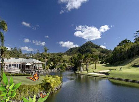 Absolute Beachfront Novotel Pacific Bay - Maitland Accommodation 2