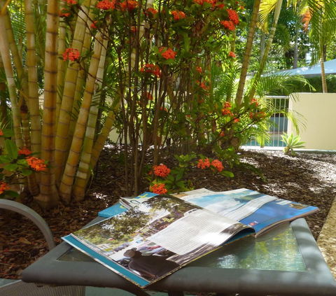 Kings Bay Apartments - Maitland Accommodation 5