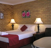 Blue Violet Motor Inn - Maitland Accommodation