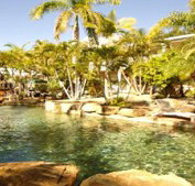 Colonial Palms Hotel Best Western - Maitland Accommodation