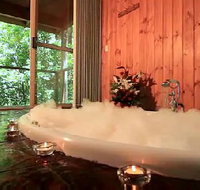 Tree Houses Of Montville - Maitland Accommodation