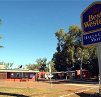 Halls Creek Motel - Maitland Accommodation