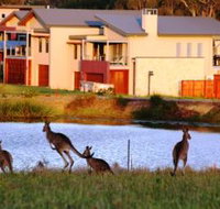 Grand Mercure The Vintage Hunter Valley - Maitland Accommodation