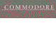 Commodore Motel - Maitland Accommodation