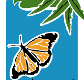 Wanderers Retreat - Maitland Accommodation