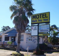 Blackboy Tree Motel - Maitland Accommodation