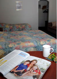 Harbour View Motor Inn - Maitland Accommodation 0
