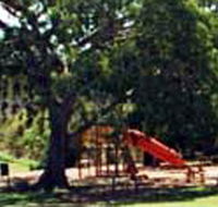 Park Lane Motel - Maitland Accommodation