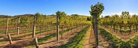 DeVine Escape - Maitland Accommodation 0