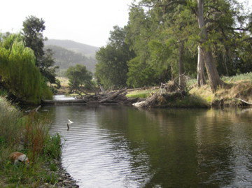 Wee Jasper NSW Maitland Accommodation