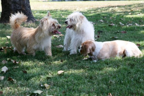 Willawong QLD Maitland Accommodation