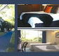 The Albany - Maitland Accommodation