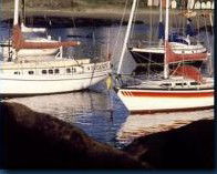 Boat Harbour Motel & Anchorage Restaurant - Maitland Accommodation 1