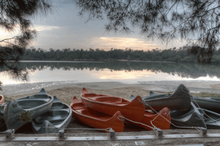 Boambee Bay Resort - Maitland Accommodation 5