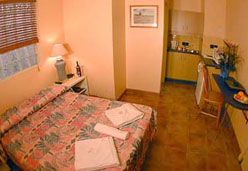 City Palms Motel - Maitland Accommodation 1