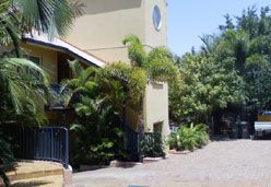 City Palms Motel - Maitland Accommodation 3