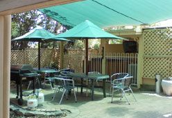 City Palms Motel - Maitland Accommodation 4