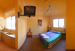 City Palms Motel - Maitland Accommodation 5